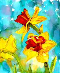 Daffodils painting in alcohol inks, spring flowers against blue background