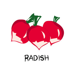 Vegetables, mushrooms, roots and fruits. Vegan, vegetarian set of icons with vegetables. Natural colors. Proper nutrition. Vegetable food. Vector isolated image.