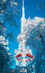 Zamarznięta wieża telewizyjna w lesie zimą - obrazy, fototapety, plakaty