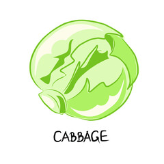 Lettuce, cabbage, broccoli, herbs, sprouts. Vegan, vegetarian set of icons with vegetables. Natural colors. Proper nutrition. Vegetable food. Vector isolated image.