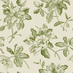 Magnolia grandiflora. Floral seamless pattern. Vector vintage botanical illustration. Green © OlgaKorneeva
