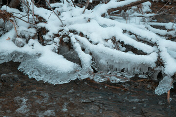 Ice on branches in a creek in forest