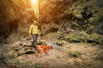 Traveler Man trekker with him dog walk around mountains in sunny day. Backpacker walking in Outdoors. Health care, authenticity, sense of balance and calmness.
