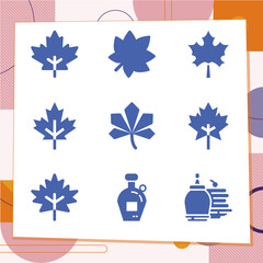 Simple set of 9 icons related to box elder
