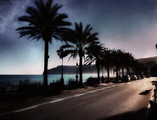 seascape of palm trees at sunset in a well-known Ligurian tourist resort