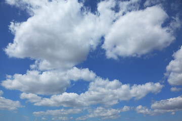Naklejka na ściany i meble The cumulus clouds in a sky
