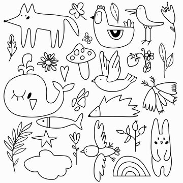 Vector set in doodle style with illustrations of animals (hare, fox), fish, whales, birds and different flowers and leaves