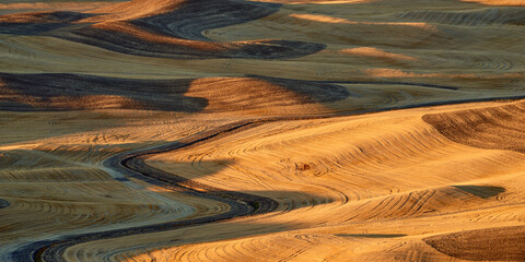Panoramic view of the rolling field in the Palouse Hills region in Washington state in the autumn season at sunrise.