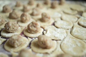 Preparation of handmade dumplings at home with selective focus closeup