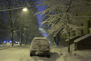 Snowy trees and cars on a night street