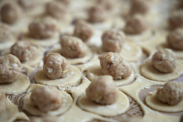 Process of making homemade dumplings close-up in natural light