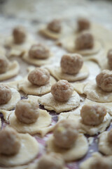 Rows of raw homemade dumplings with selective focus closeup