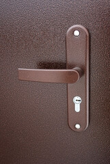 Metal entrance door part: door handle and surface