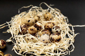 Obraz premium Quail eggs in the nest, isolated on a black background.