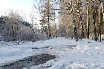 Fototapeta premium Beautiful winter landscape on a sunny frosty day