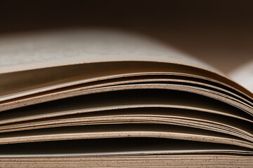  Close-up of book peges on blurred background.