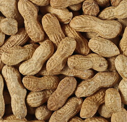 Shelled peanuts pile background and texture, top view