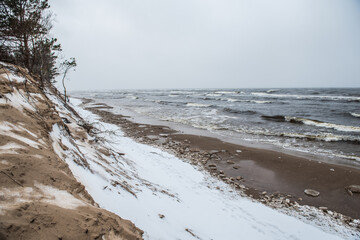 Baltic Sea wild beach is snowy in winter and there are big waves