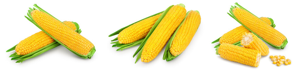 ear of corn isolated on a white background. Clipping path and full depth of field. Set or collection
