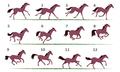Horse running animation. Twelve key positions of horse running. Vector illustration isolated on white background.