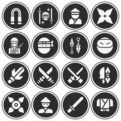 16 pack of rico  filled web icons set