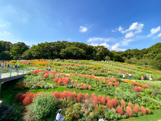 横浜