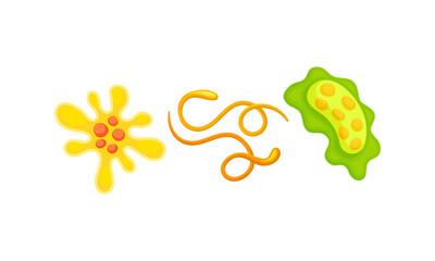 Various Virus, Microbe and Germs of Different Color and Shape Vector Set