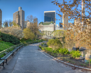Central Park in spring