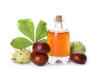 Horse chestnuts, bottle of tincture and green leaf on white background