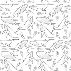 whales on a white background. inhabitants of the seabed. whale with different angles. whale pattern.