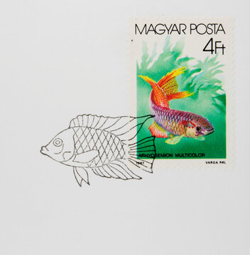 briefmarke stamp gestempelt frankiert cancel used fisch fish vintage retro alt old bunt colorful ungarn hungary magyar posta