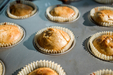 small vanilla and chocolate muffins illuminated by the morning light ready for breakfast