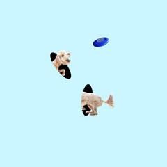 Cute playing dog divided geometrically on blue background. Negative space to insert your text. Modern design. Contemporary colorful and conceptual bright art collage, art collage. Visual art.