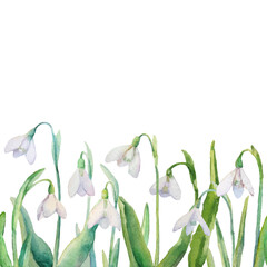 Vector spring seamless border with watercolor snowdrops on a white background.