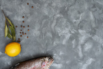 Frozen river trout with spices on a gray background. Copy space