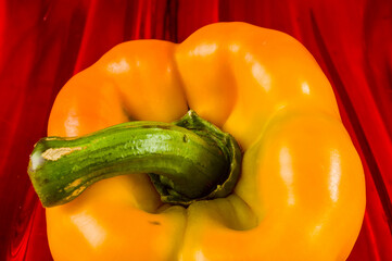 colorful mix of the freshest red and yellow paprika, bell pepper