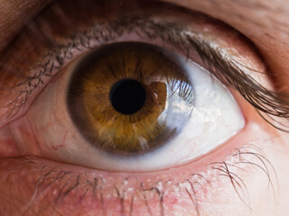 Human eye close up. Macro shot. Oculist concept