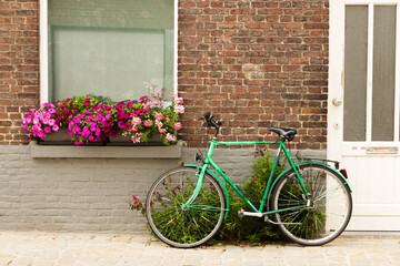 Fototapeta na wymiar Green bicycle in front of house. Window with flowers