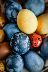 assortment of Easter dyed eggs on shabby vintage background, festive gift card