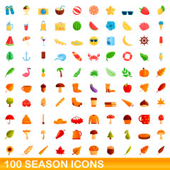 100 season icons set. Cartoon illustration of 100 season icons vector set isolated on white background