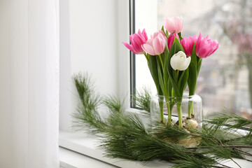 Beautiful tulips with bulbs and pine branches on window sill indoors. Space for text