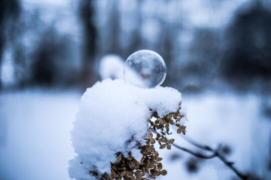 Eingefrorene Seifenblase im Winter