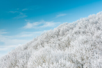 Kaunas, Lithuania 02-07-2021