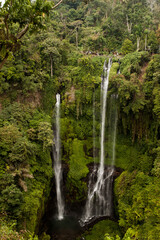 A vertical image of Sekumpul Waterfall in Bali, Indonesia