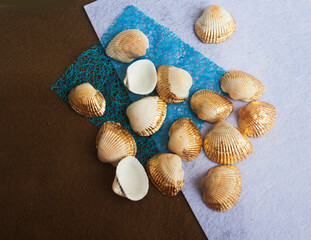 Fototapeta na wymiar Seashells with gold leaf on a felt . Candid.