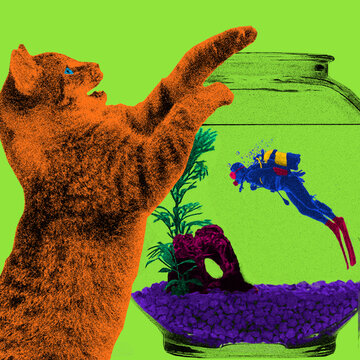 cat with a diver in a fish tank