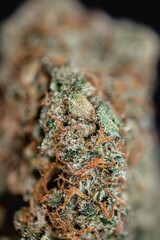 weed