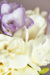 Bouquet of white and lilac freesias. Close up view on a spring flower.