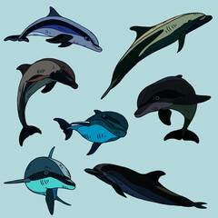 illustration vectorielle de dauphins marsouin nageant dans l'eau