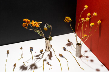 Abstract yellow dried flowesr. Over simple geometric red black white background. Art concept for interior. Set desgin
